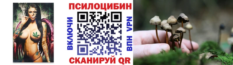 Псилоцибиновые грибы прущие грибы  цены наркотик  hydra вход  Белоярский 